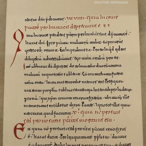 San Isidoro. Doctor Hispaniae